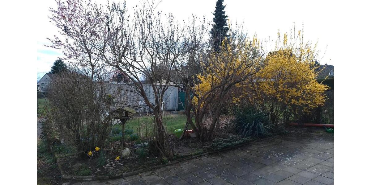 Hochparterre Neuwied Feldkirchen - 3 Zimmer, 78 m&sup2;, 179.000&euro; | Angebot:25157700