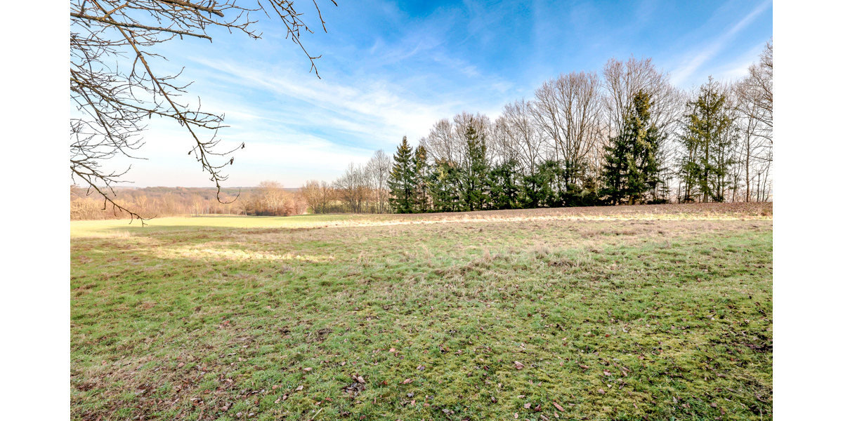 Rohdiamant mit Potenzial: Entkerntes Haus mit viel Platz für Mensch & Tier. 5686 m² Grundstück! - Einfamilienhaus Bad Honnef / Aegidienberg Aegidienberg | Angebot:25097239