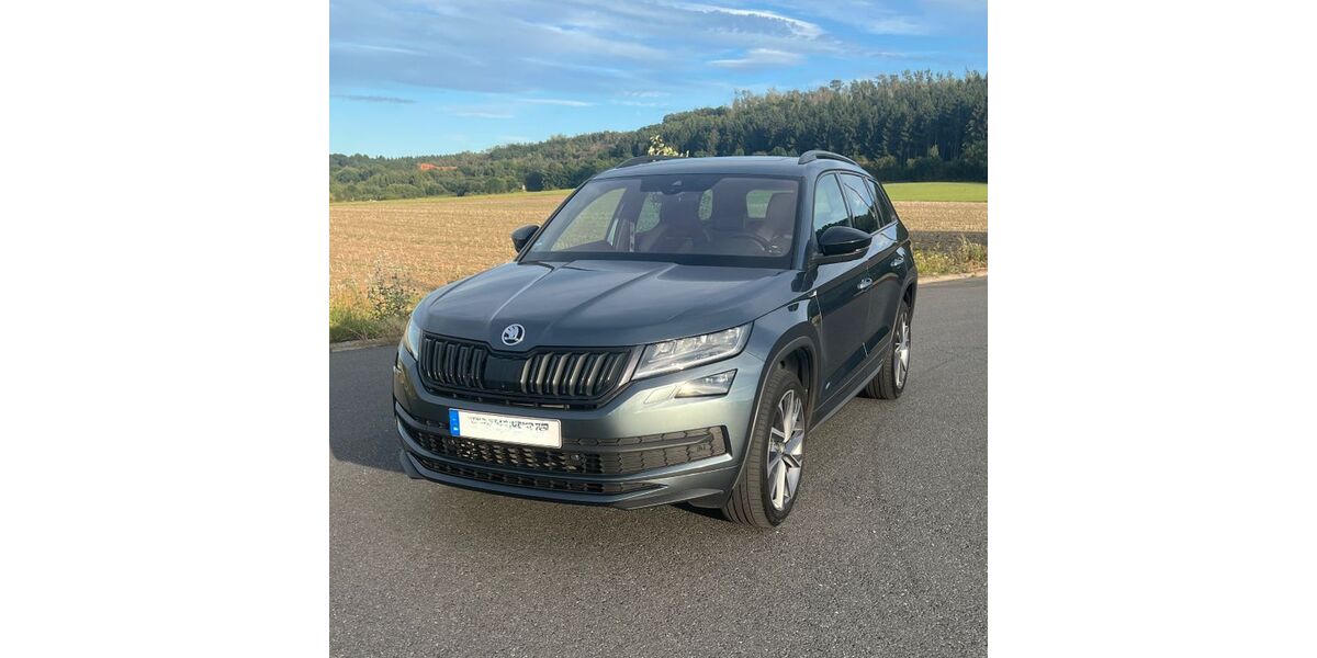 Skoda Kodiaq 150.000 km 22.999 &euro; Ochtendung 56299