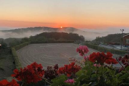 Wohnung Sankt Katharinen - 3 Zimmer, 68 m&sup2;, 990&euro; | Angebot:25659939