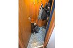 Dachgeschoßwohnung Andernach - 1 Zimmer, 38 m&sup2;, 305&euro; | Angebot:26635606