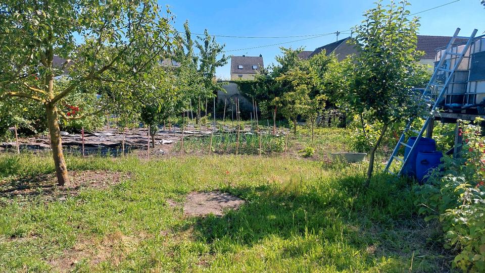 Mehrfamilienhaus, Wohnhaus Kruft - 11 Zimmer, 400 m&sup2;, 299.000&euro; | Angebot:24773236