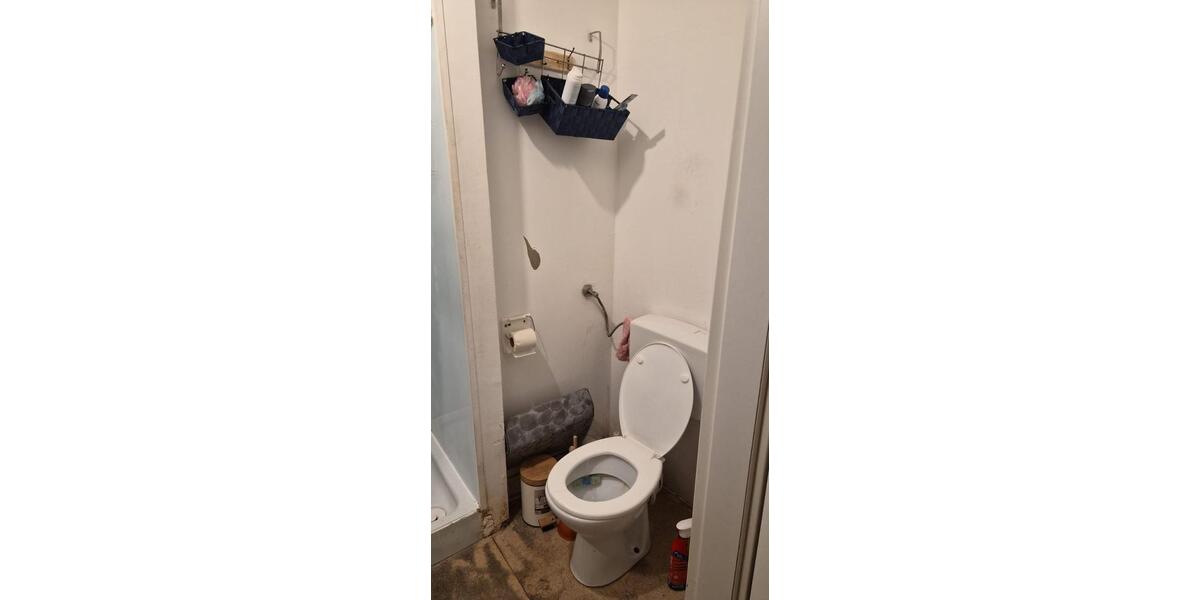 Dachgeschoßwohnung Andernach - 2 Zimmer, 50 m&sup2;, 490&euro; | Angebot:25943972