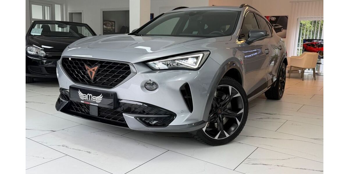Cupra Formentor 41.000 km 27.475 &euro; Sinzig 53489