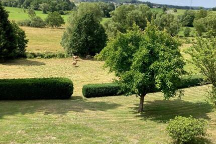 Wohnung Steimel - 5 Zimmer, 120 m&sup2;, 900&euro; | Angebot:25483150