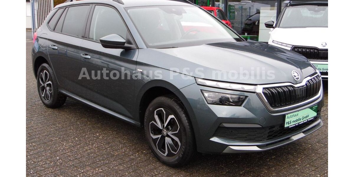 Skoda Kamiq 29.200 km 21.450 &euro; Neuhäusel 56335