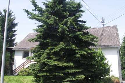 Wohnung Breitenau - 11 Zimmer, 284 m&sup2;, 1.150&euro; | Angebot:16676368