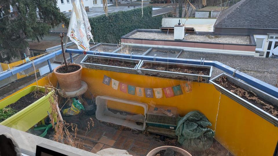 Etagenwohnung Koblenz Bubenheim - 2 Zimmer, 56 m&sup2;, 535&euro; | Angebot:25908709