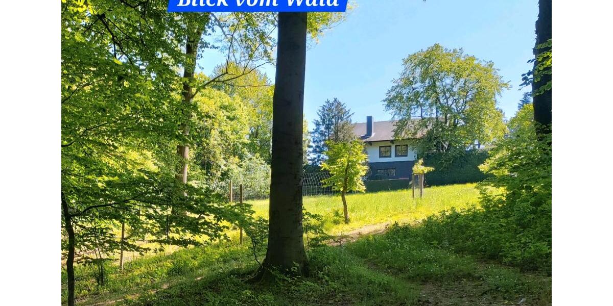 Einfamilienhaus Windhagen - 6 Zimmer, 245 m&sup2;, 459.000&euro; | Angebot:23715975