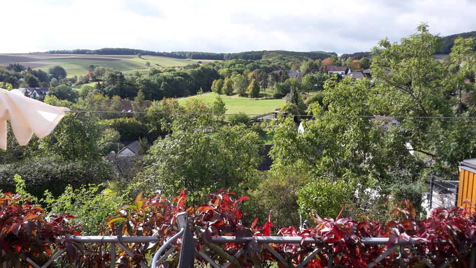 Etagenwohnung Schalkenbach - 2 Zimmer, 60 m&sup2;, 430&euro; | Angebot:25920809