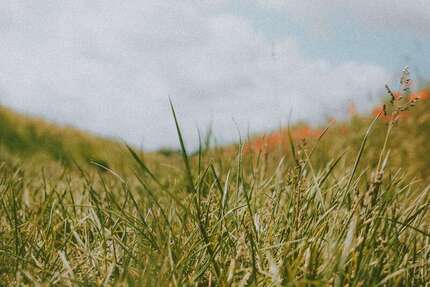 Grundstück Koblenz Karthause - 610.000&euro; | Angebot:25997258