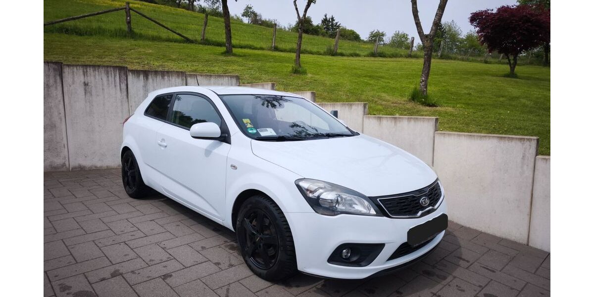 Kia pro ceed / ProCeed 193.000 km 2.100 &euro; Neustadt/Wied 53577