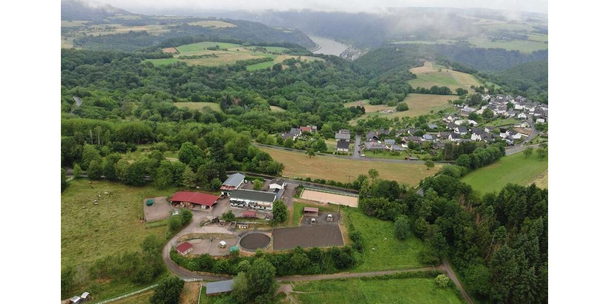 Etagenwohnung Boppard - 3 Zimmer, 90 m&sup2;, 750&euro; | Angebot:25634400