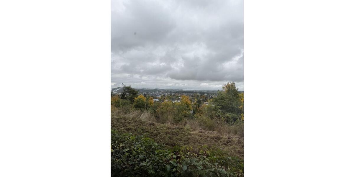 Etagenwohnung Mayen - 2 Zimmer, 55 m&sup2;, 550&euro; | Angebot:24694612