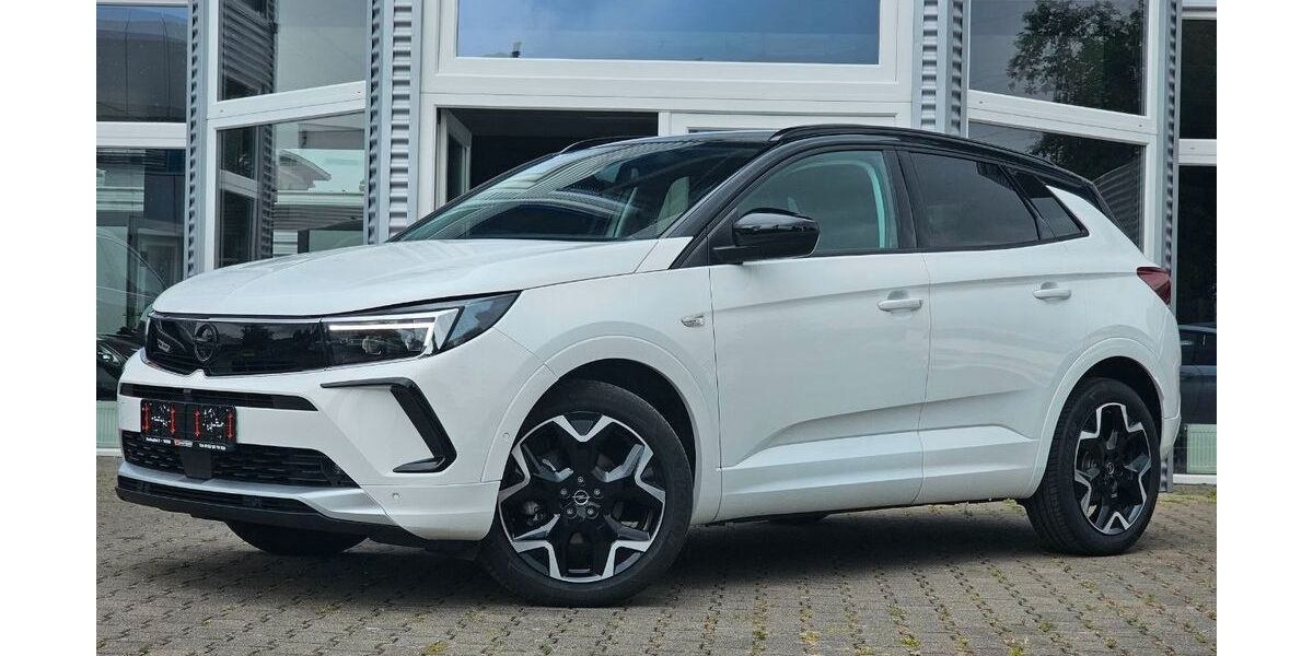 Opel Grandland (X) 9.400 km 23.690 &euro; Neuwied 56566