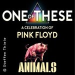 One Of These - A Celebration of Pink Floyd: Animals-Tour