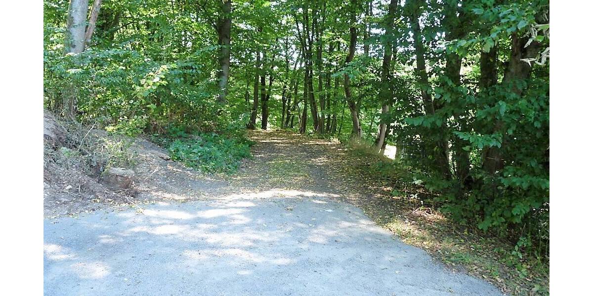 Mehrfamilienhaus, Wohnhaus Flammersfeld - 1.200.000&euro; | Angebot:25698568