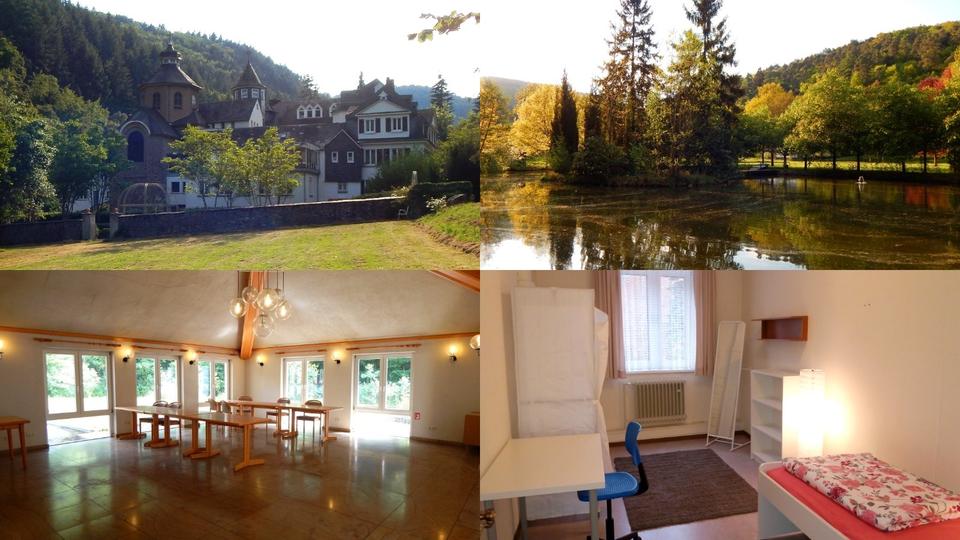 Etagenwohnung Mayen - 1 Zimmer, 10 m&sup2;, 315&euro; | Angebot:24756396