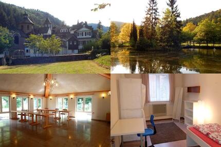 Wohnung Mayen - 1 Zimmer, 10 m&sup2;, 315&euro; | Angebot:24756396