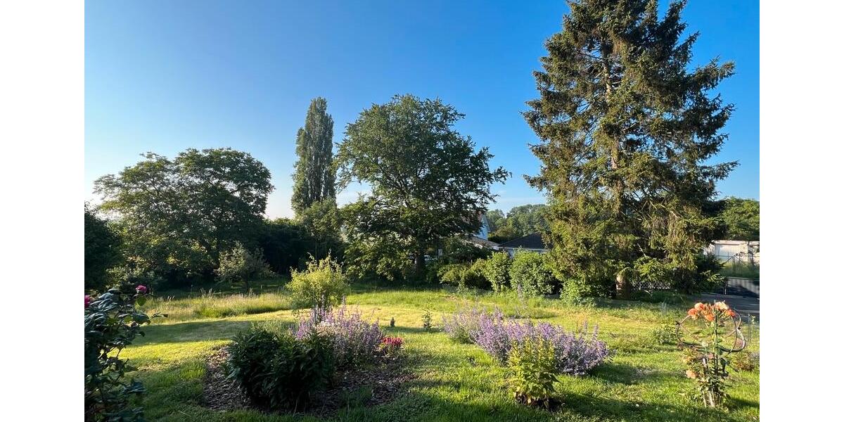 Bungalow Mendig - 3 Zimmer, 144 m&sup2;, 499.000&euro; | Angebot:25951922