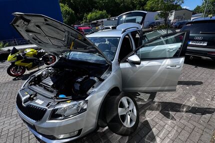 Skoda Octavia 260.123 km 3.333 &euro; Dieblich 56332
