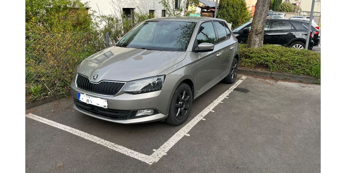 Skoda Fabia 124.000 km 8.700 &euro; Andernach 56626