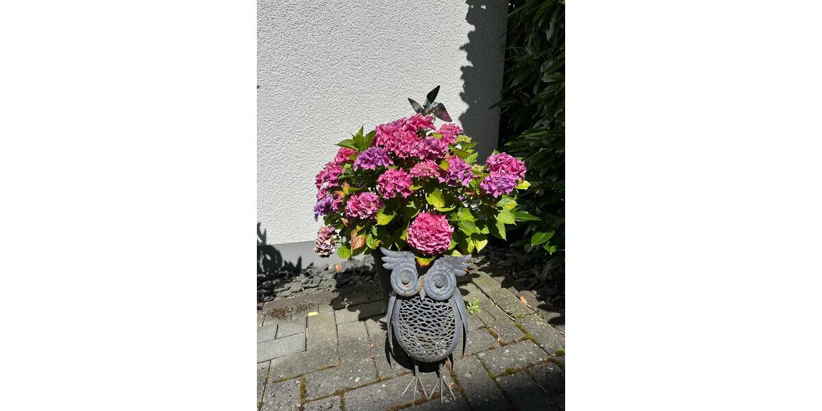 Etagenwohnung Waldbreitbach - 3 Zimmer, 100 m&sup2;, 950&euro; | Angebot:25712119