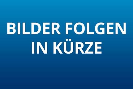 Ford Puma 61.508 km 17.780 &euro; Braubach 56338