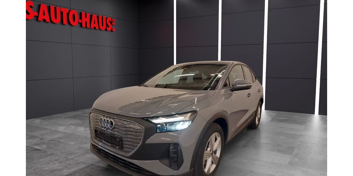 Audi Q4 e-tron 124.000 km 24.900 &euro; Montabaur 56410