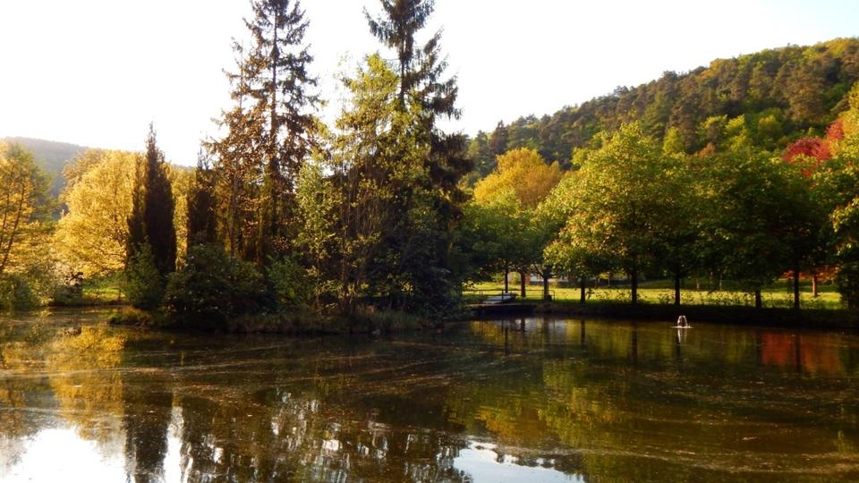 Etagenwohnung Mayen - 1 Zimmer, 10 m&sup2;, 315&euro; | Angebot:24756396