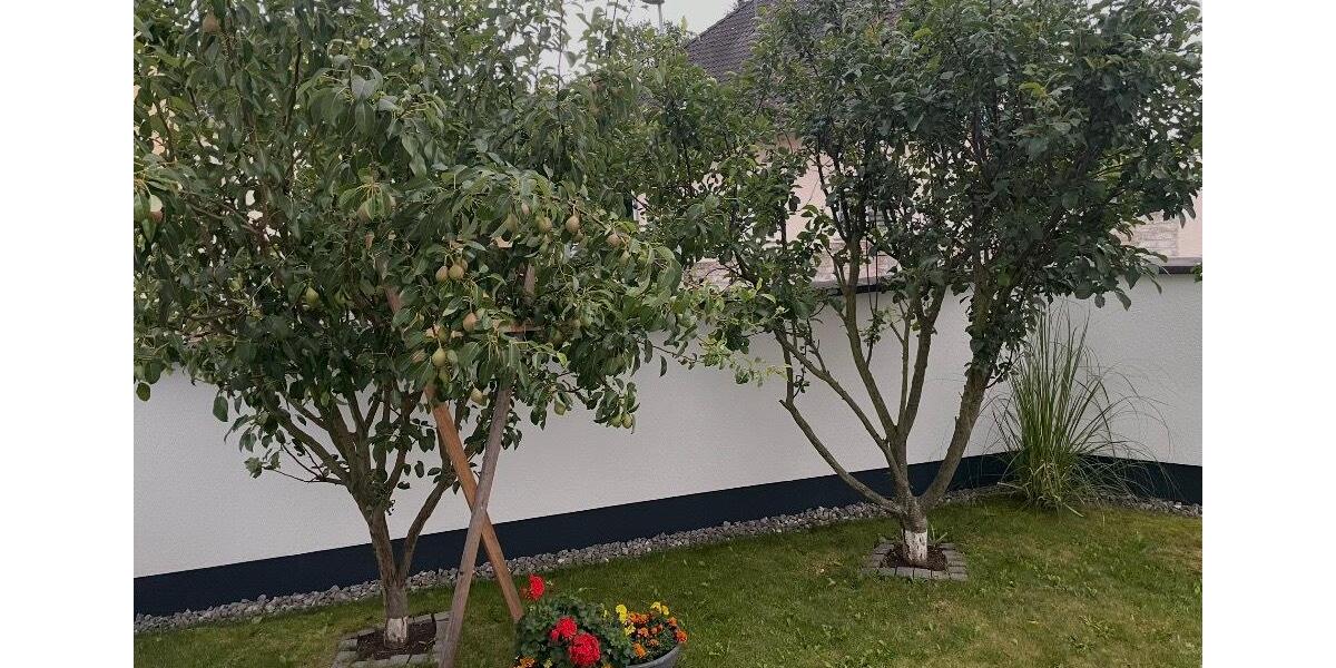 Einfamilienhaus Neuwied Block - 8 Zimmer, 234 m&sup2;, 735.000&euro; | Angebot:25873394