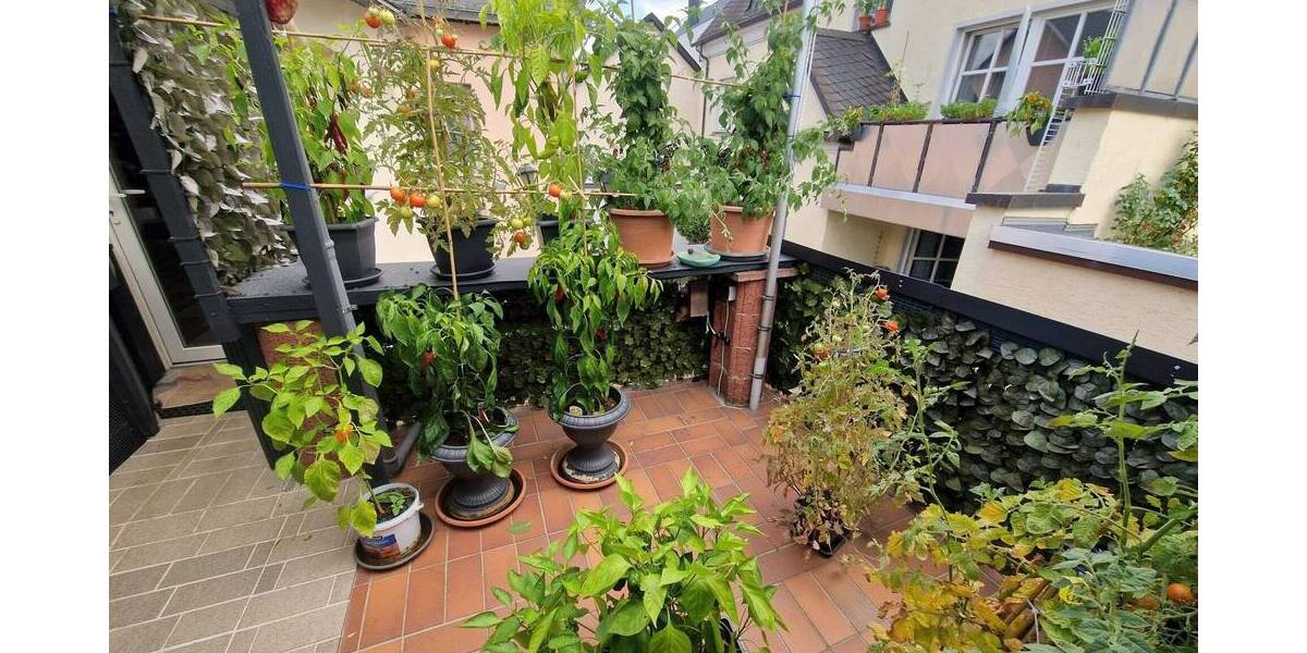 Einfamilienhaus Niederwerth - 6 Zimmer, 71 m&sup2;, 198.000&euro; | Angebot:25779010