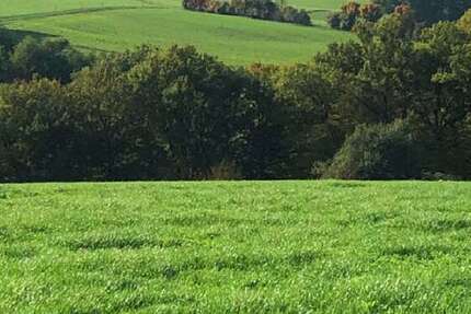 Haus Buchholz - 5 Zimmer, 180 m&sup2;, 697.000&euro; | Angebot:24349548