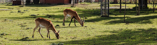 Wild- und Freizeitpark Klotten Mosel Rheinland-Pfalz