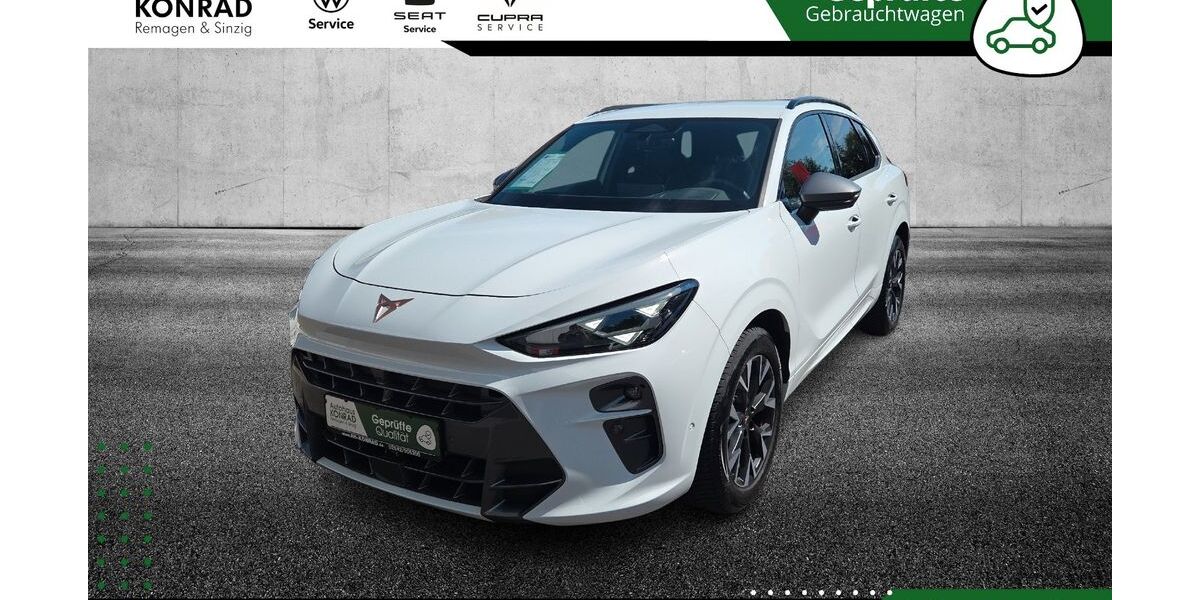 Cupra Terramar 25.600 km 35.490 &euro; Remagen 53424