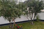 Einfamilienhaus Neuwied Block - 8 Zimmer, 234 m&sup2;, 695.000&euro; | Angebot:26289112