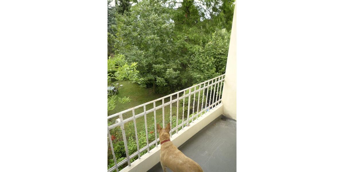 Etagenwohnung Mayen - 3 Zimmer, 95 m&sup2;, 875&euro; | Angebot:24811344