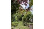 Einfamilienhaus Linz am Rhein - 4 Zimmer, 110 m&sup2;, 319.000&euro; | Angebot:26533885