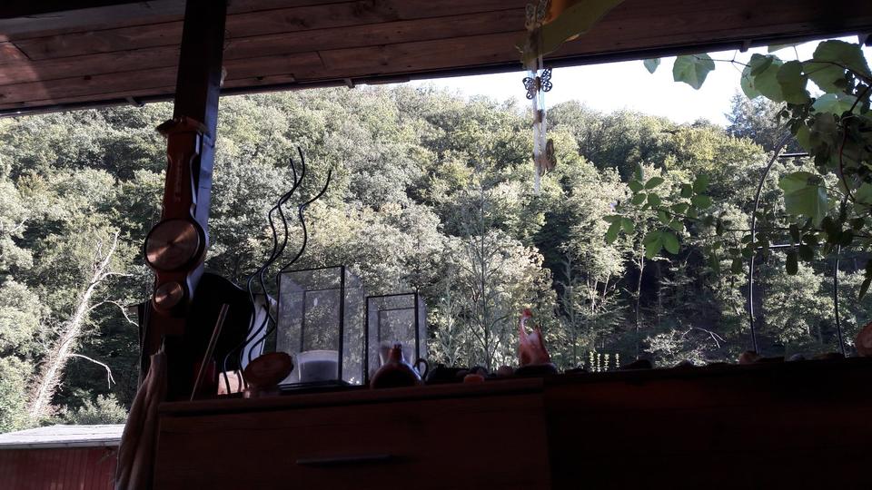 Einfamilienhaus Sankt Katharinen - 2 Zimmer, 37 m&sup2;, 29.250&euro; | Angebot:22249621