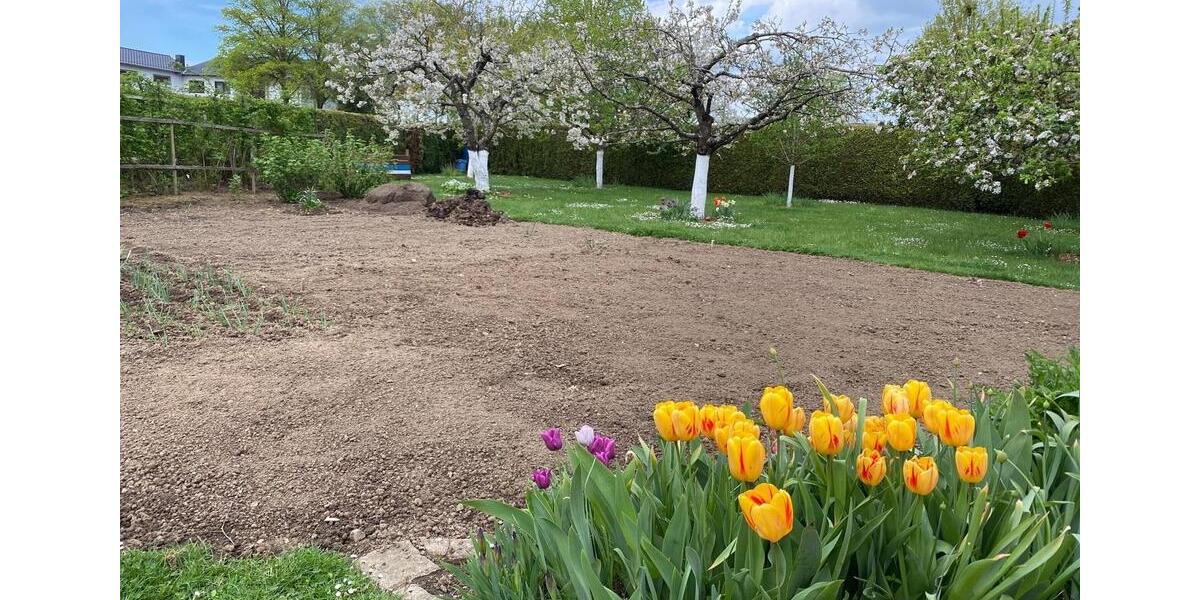 Einfamilienhaus Binningen - 365.000&euro; | Angebot:25052284