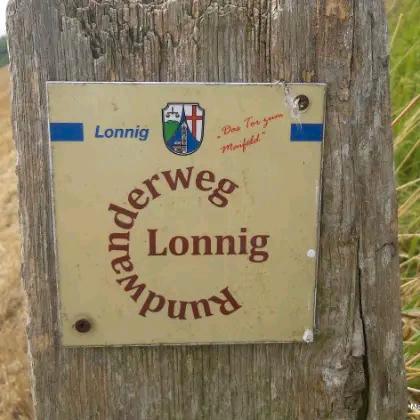 Erdgeschoßwohnung Lonnig - 1 Zimmer, 38 m&sup2;, 350&euro; | Angebot:26007623