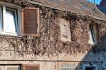 Bauernhaus, Landhaus Polch - 9 Zimmer, 260 m&sup2;, 250.000&euro; | Angebot:26918950