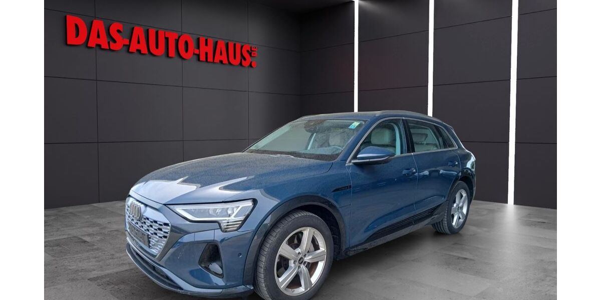 Audi Q8 e-tron 60.000 km 45.900 &euro; Montabaur 56410