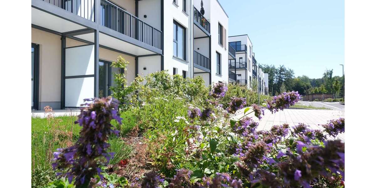 Etagenwohnung Höhr-Grenzhausen Grenzhausen - 1 Zimmer, 42 m&sup2;, 504&euro; | Angebot:25166851