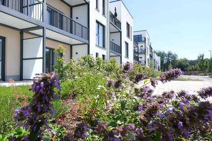 Wohnung Höhr-Grenzhausen Grenzhausen - 1 Zimmer, 42 m&sup2;, 504&euro; | Angebot:25166851