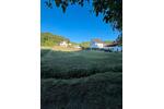 Bauernhaus, Landhaus Wassenach - 5 Zimmer, 98 m&sup2;, 1.750&euro; | Angebot:27598409