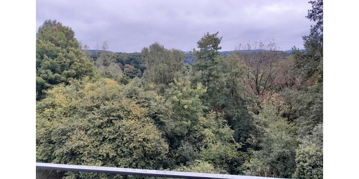 Etagenwohnung Vallendar - 1 Zimmer, 28 m&sup2;, 364&euro; | Angebot:25901673