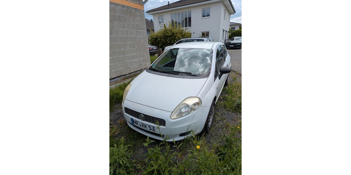 Fiat Punto 206.452 km 1.590 &euro; Dattenberg 53547