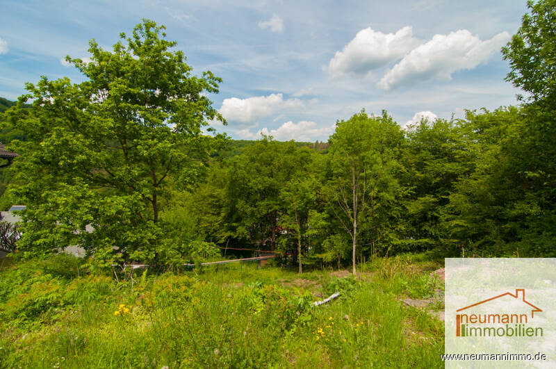 Grundstück Waldbreitbach - 75.000&euro; | Angebot:25744966