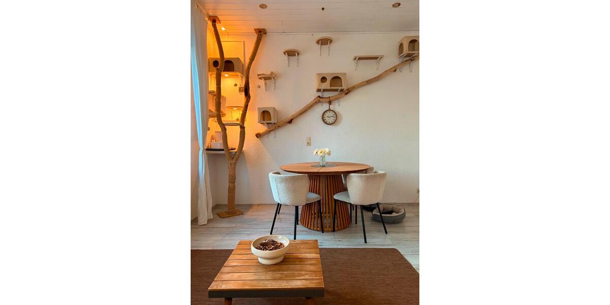 Einfamilienhaus Neuwied Block - 10 Zimmer, 225 m&sup2;, 309.000&euro; | Angebot:26846380
